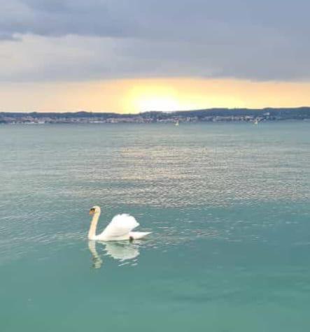 Lido Galeazzi Giant Pool Apartment Sirmione Bagian luar foto